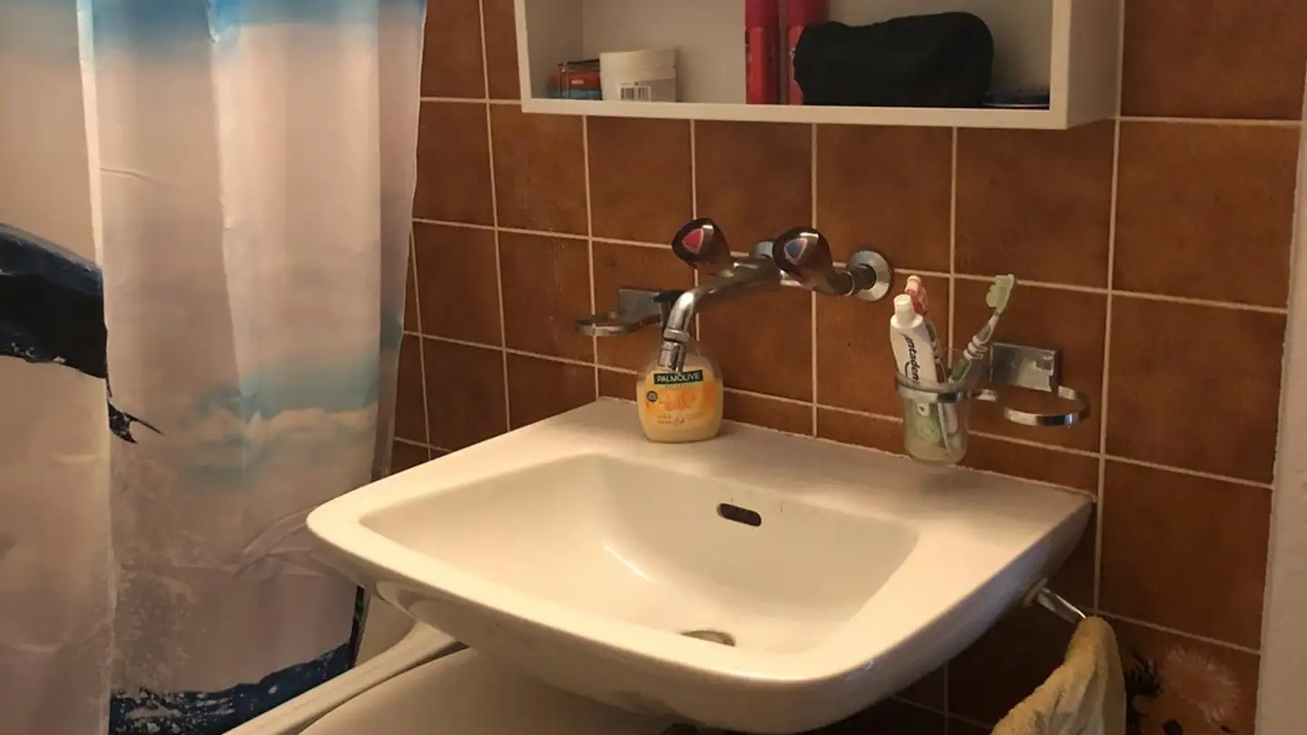 Appartamento in affitto - Alte Bettswilerstrasse 18, 8344 Bäretswil - Photo 3