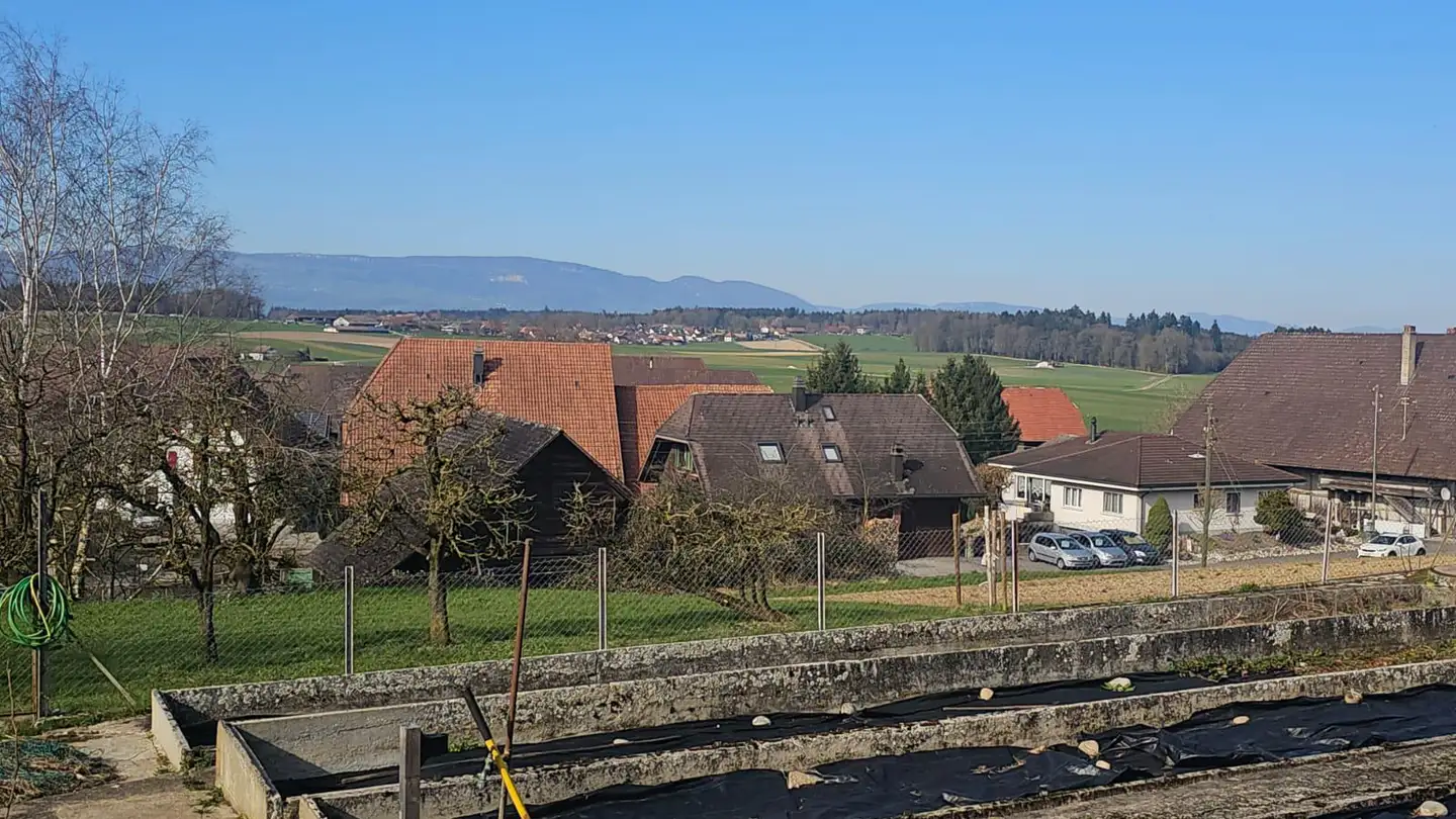 Casa singola in vendita - Bergstrasse 5, 3429 Höchstetten - Photo 4