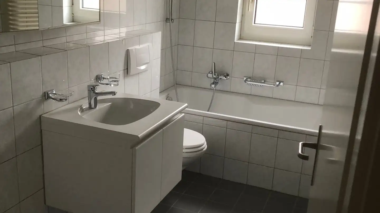 Appartamento in affitto - Regensbergstrasse, 8113 Boppelsen - Foto 3