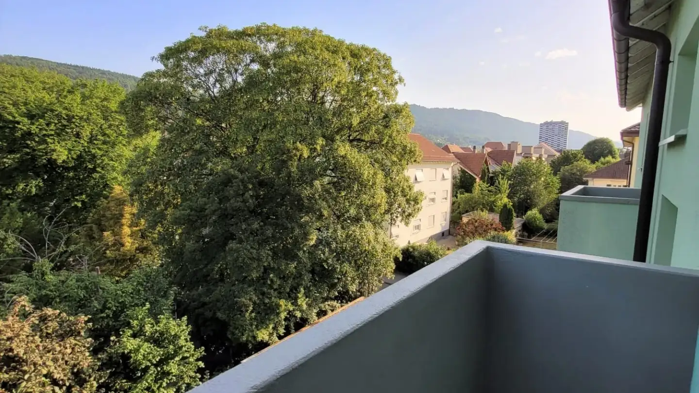 Appartement à louer - General-Dufour-Strasse 99, 2502 Biel/Bienne