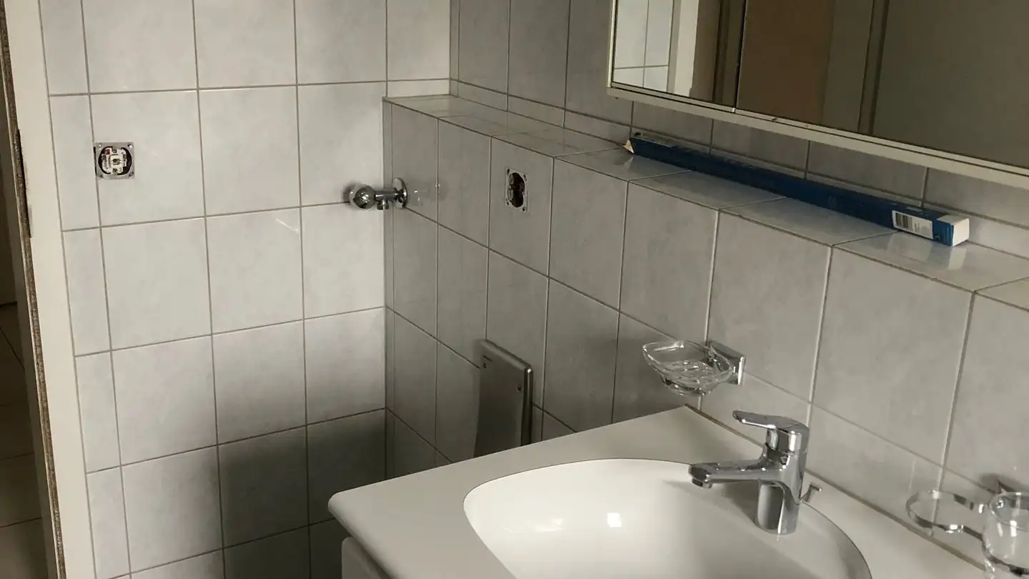 Appartamento in affitto - Regensbergstrasse, 8113 Boppelsen - Foto 4