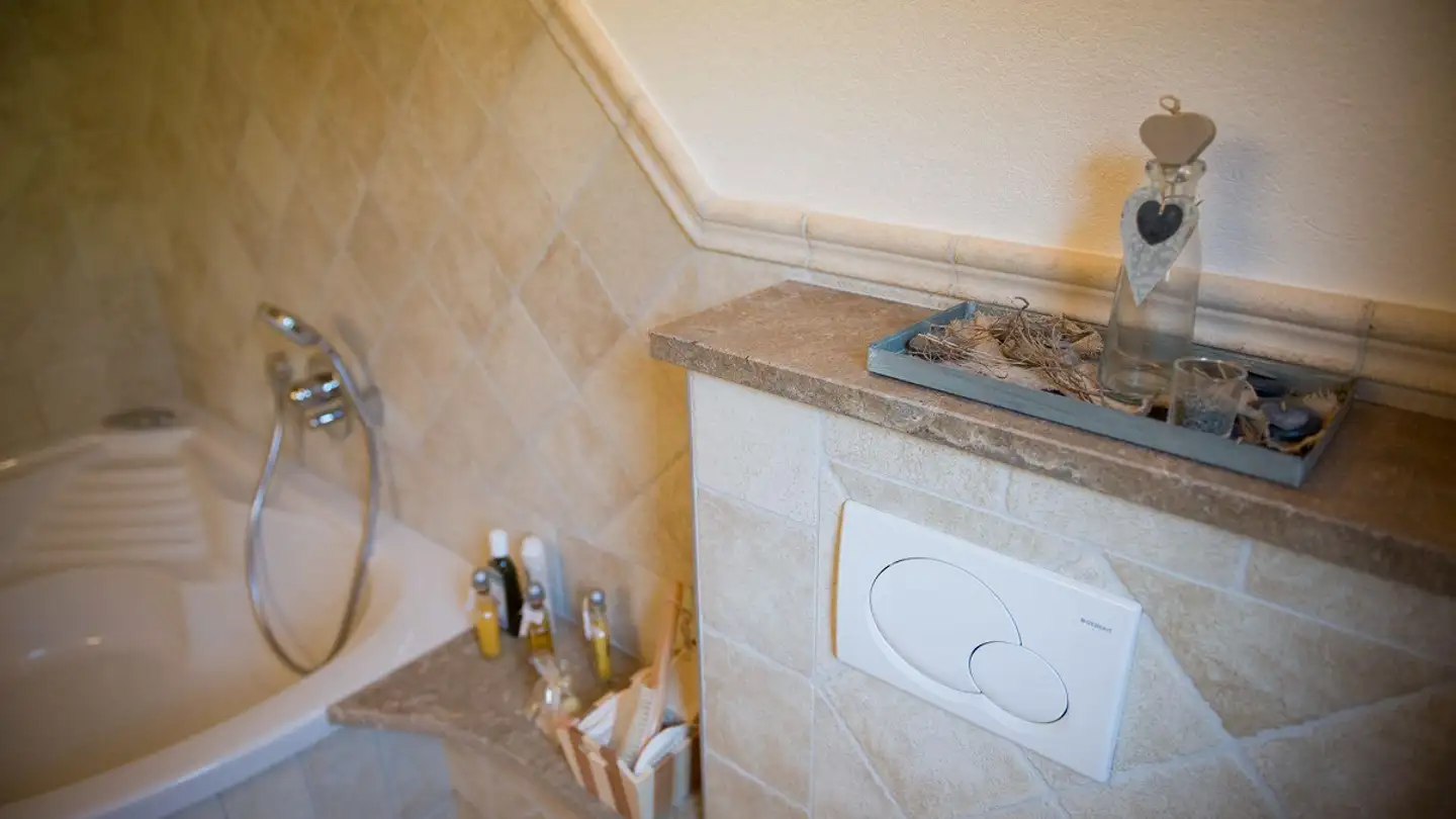 Chalet for sale - 1911 Ovronnaz - Photo 4