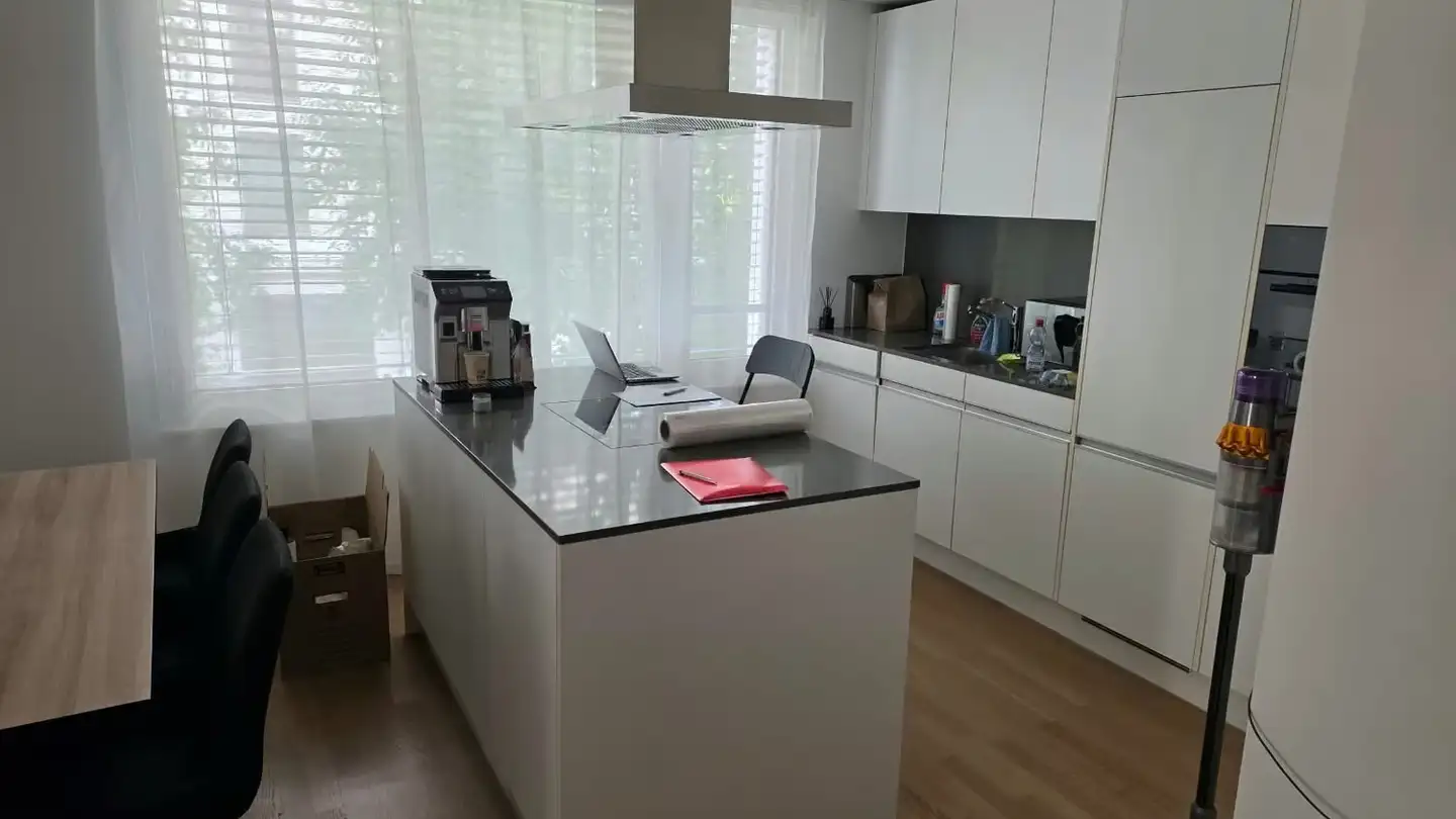 Appartamento in affitto - Limmatfeld-Strasse 13, 8953 Dietikon - Foto 2