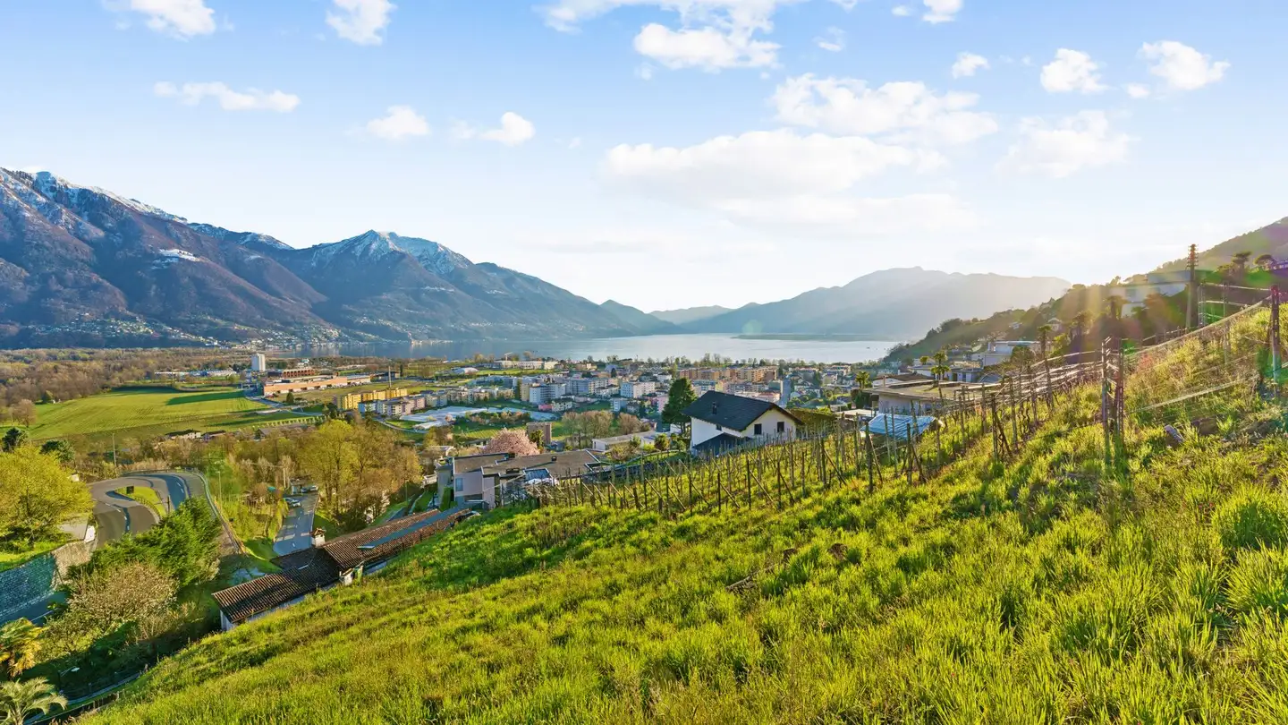 Casa singola in vendita - 6596 Gordola - Foto 2