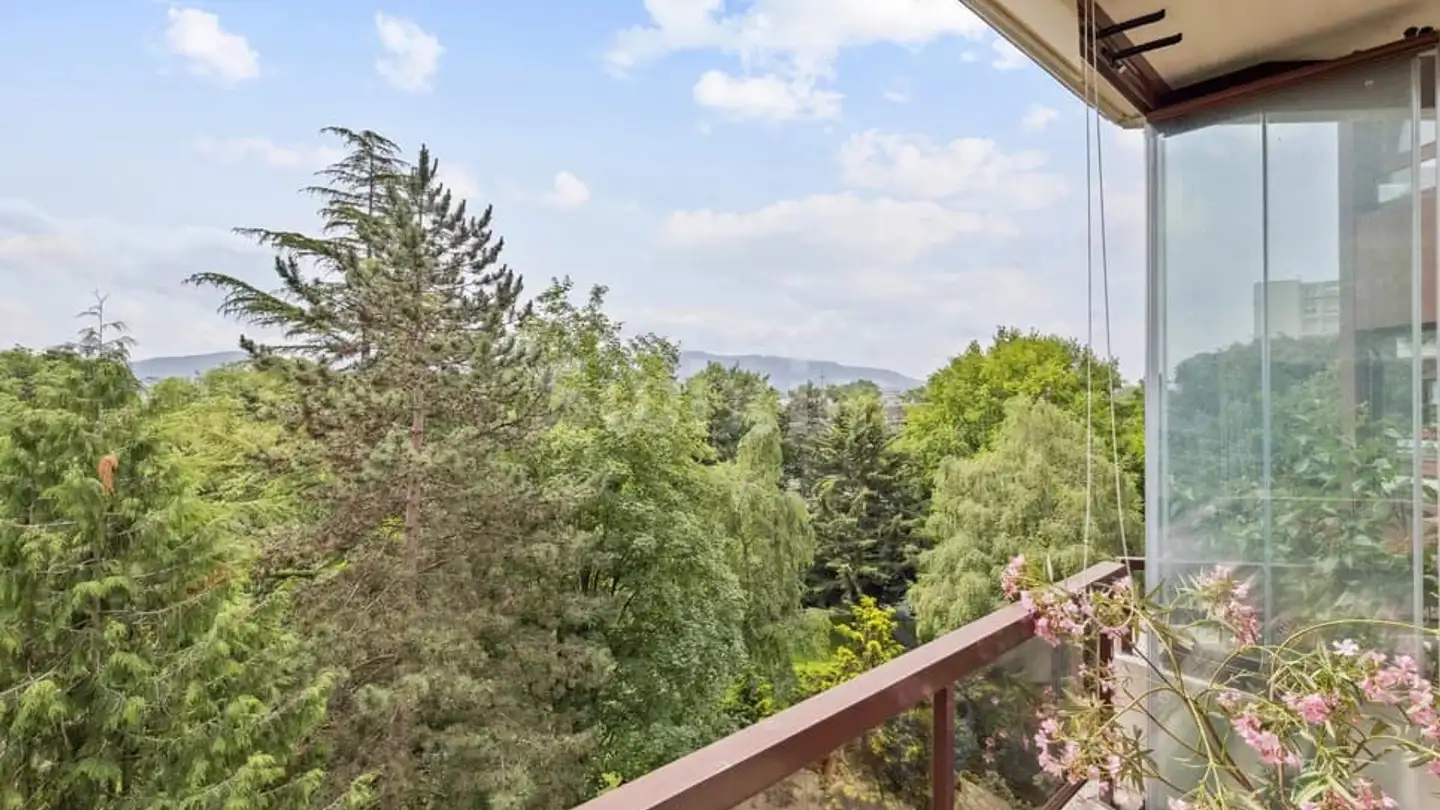 Appartamento in vendita - Chemin Du Petit-Saconnex, 1209 Genève - Foto 4