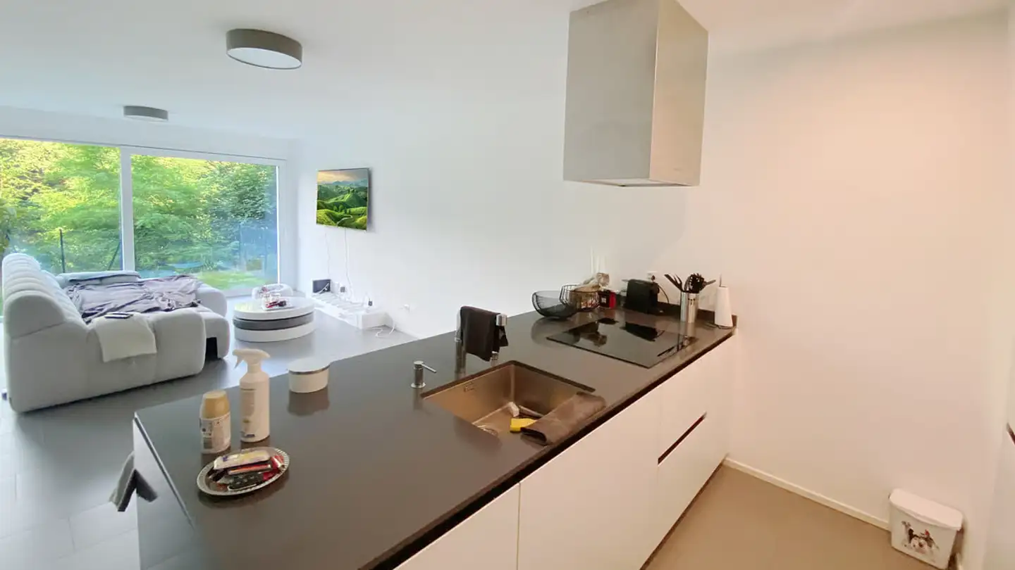 Apartment for sale - 6832 Pedrinate - Photo 4