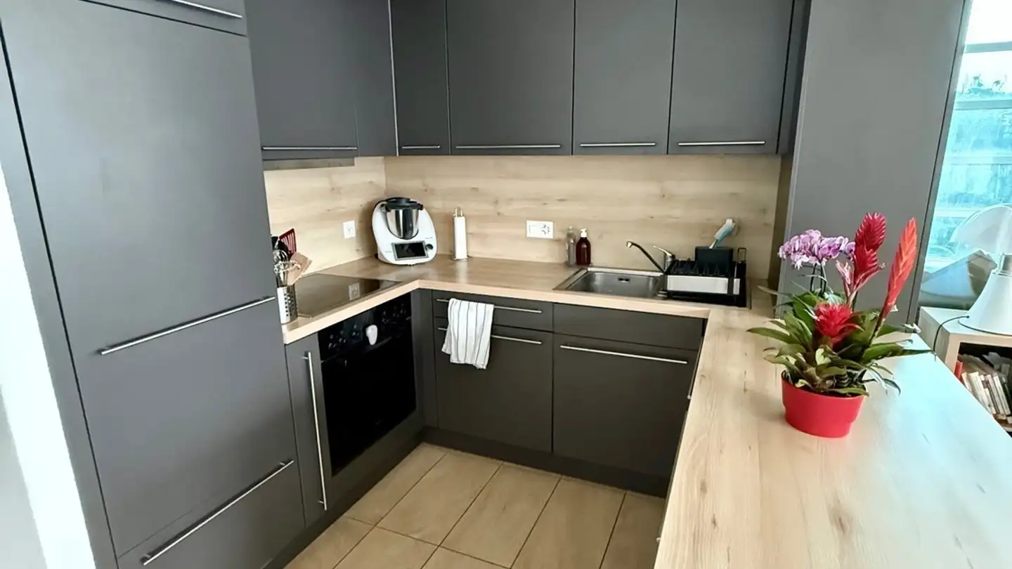 Appartamento in affitto - Chemin Du Cossy 8, 1260 Nyon - Foto 2