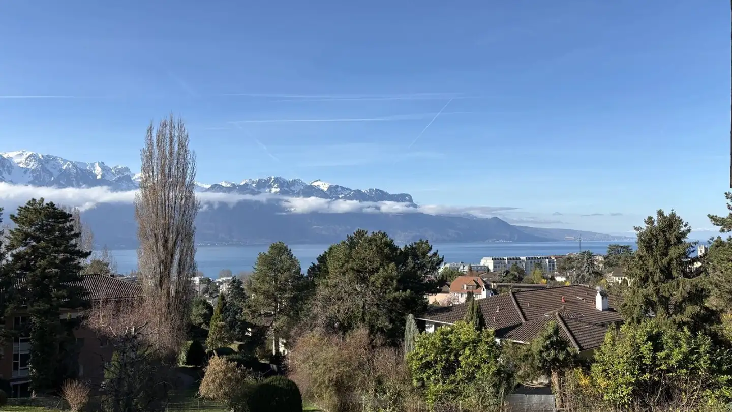 Appartement à louer - Route De Saint-Légier 58, 1800 Vevey