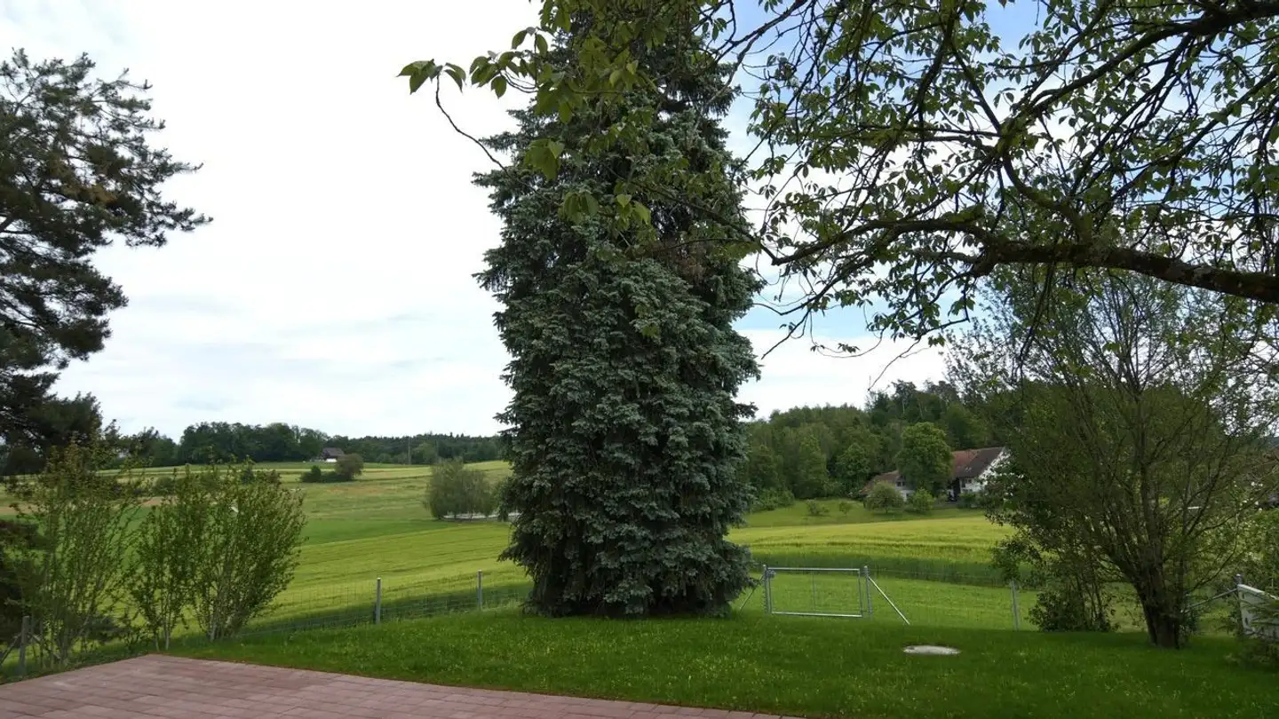 Ferme à louer - Sulzbacherstrasse 73, 8610 Uster - Photo 3