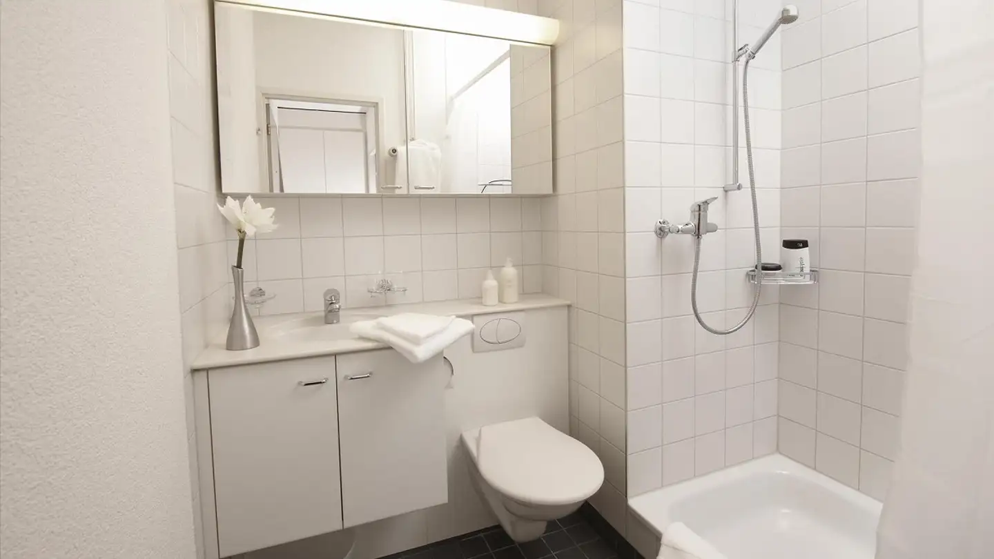 Wohnung mieten - J.J.Balmer-Strasse 5, 4053 Basel - Foto 4