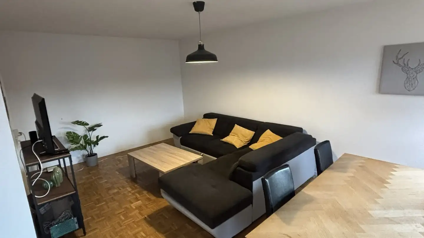 Apartment for rent - In Der Fadmatt 39, 8902 Urdorf - Photo 2