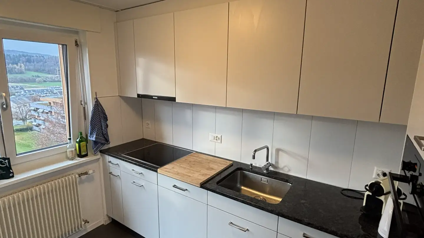 Apartment for rent - In Der Fadmatt 39, 8902 Urdorf - Photo 3