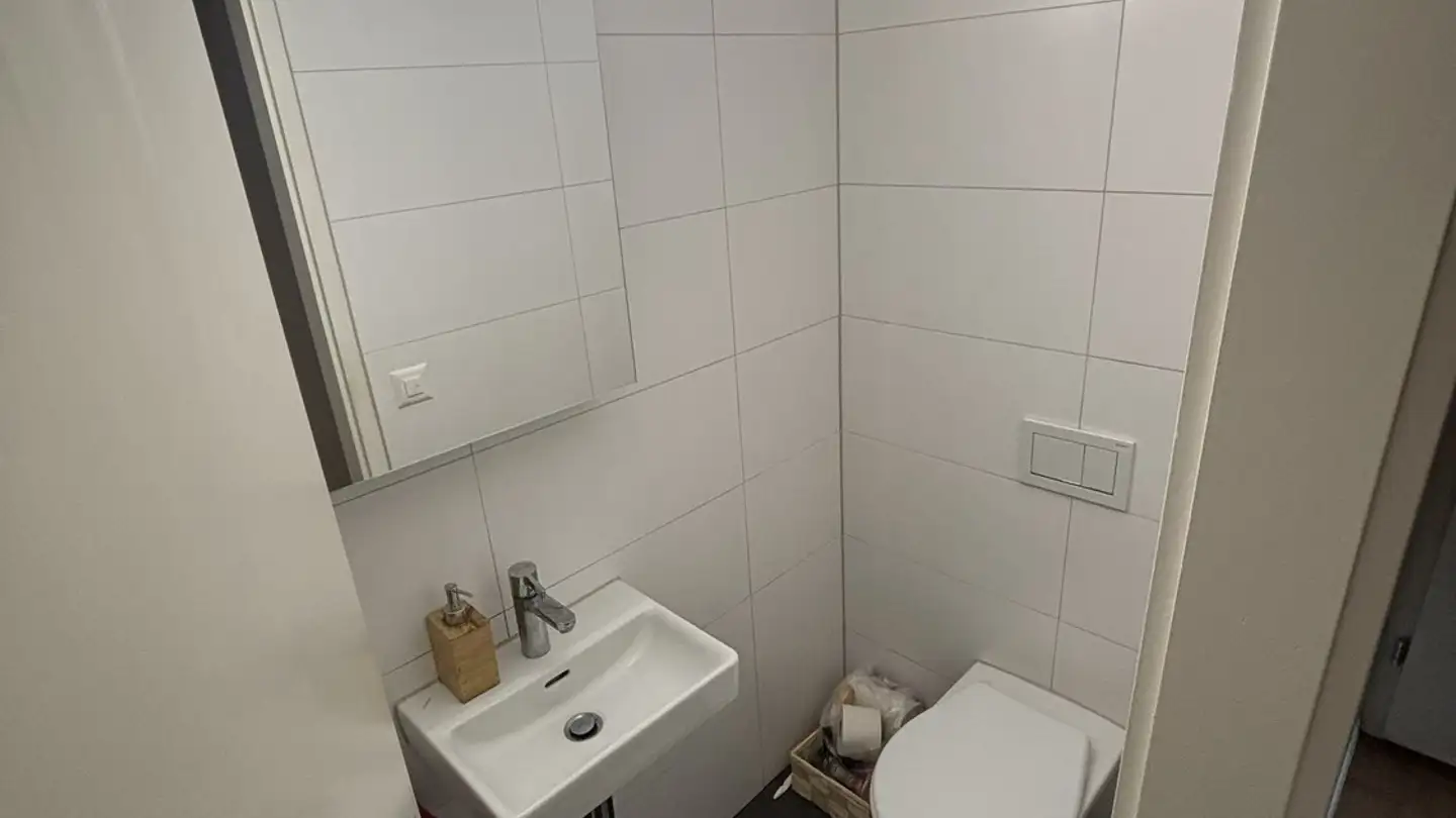 Apartment for rent - In Der Fadmatt 39, 8902 Urdorf - Photo 4