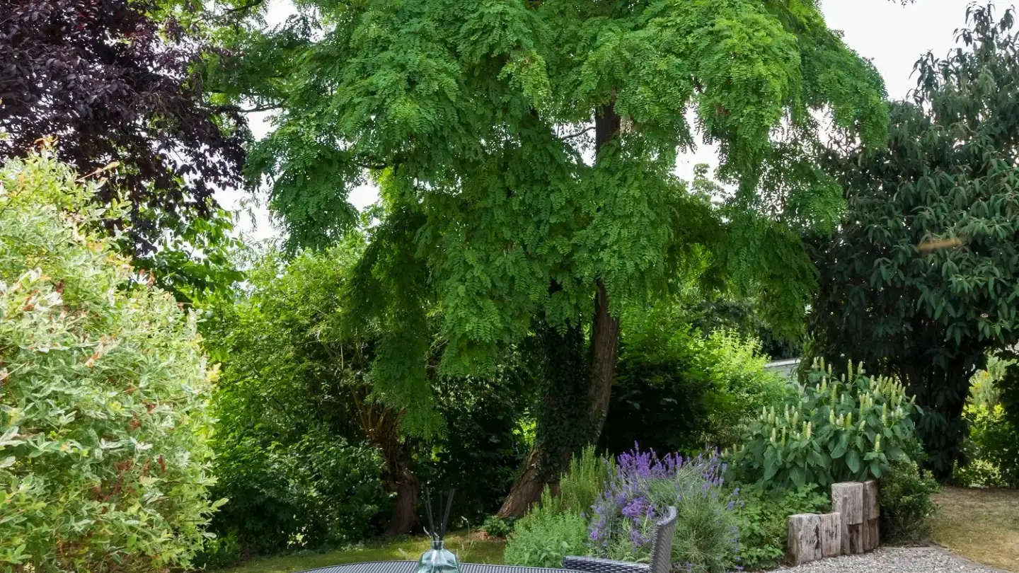 Reihenhaus kaufen - Im Reben 12, 8585 Schönenbaumgarten - Foto 3