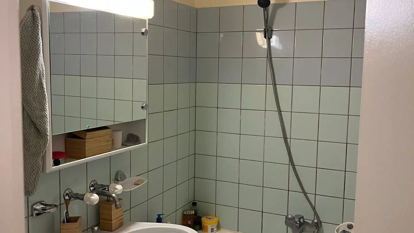 Wohnung mieten - Rue De Carouge 30, 1205 Genève