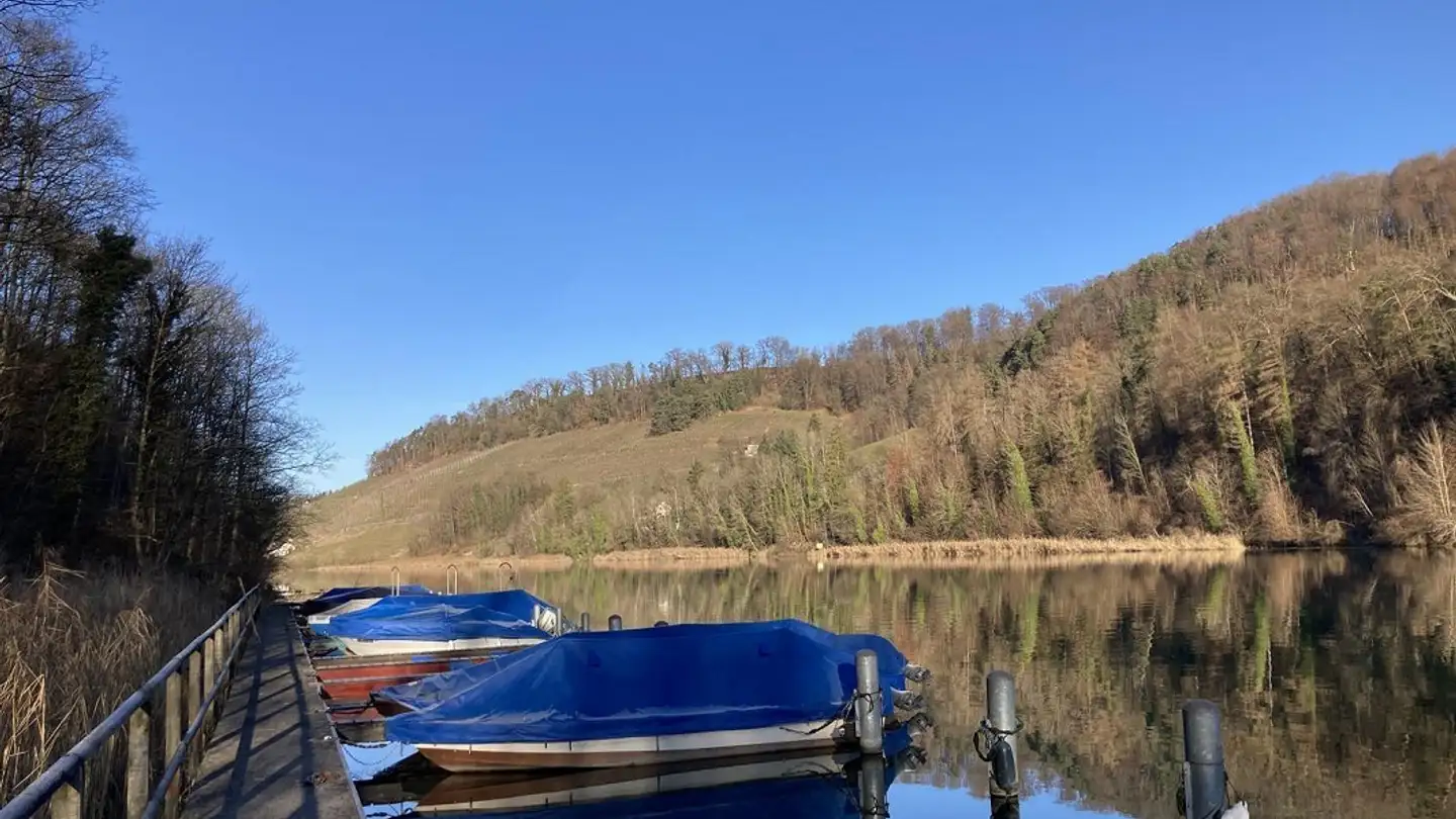 Appartement à vendre - Tössriederenstrasse 81, 8193 Eglisau