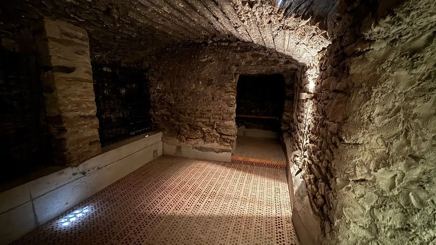 Atelier à louer - 7017 Flims Dorf