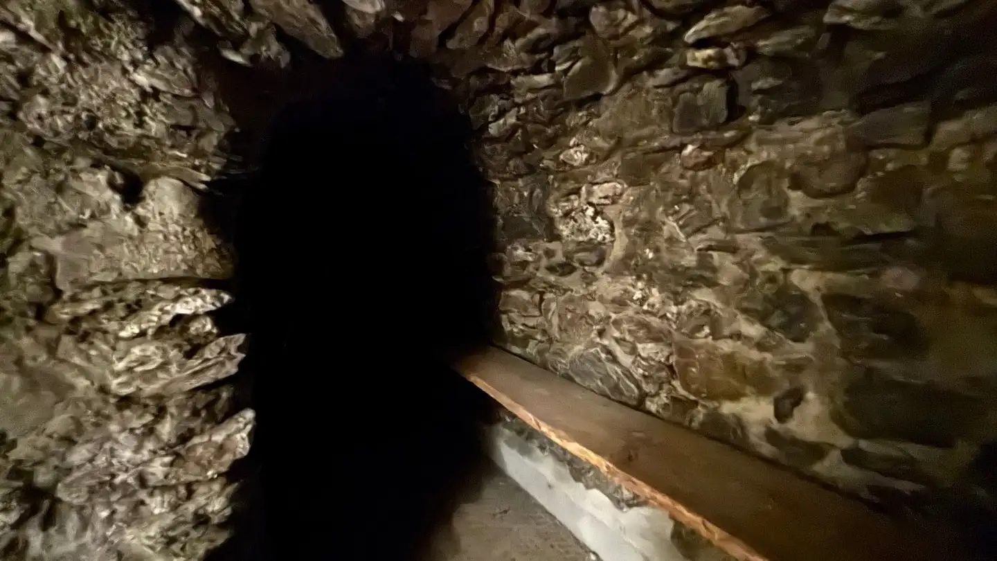 Sala hobby in affitto - 7017 Flims Dorf - Photo 2