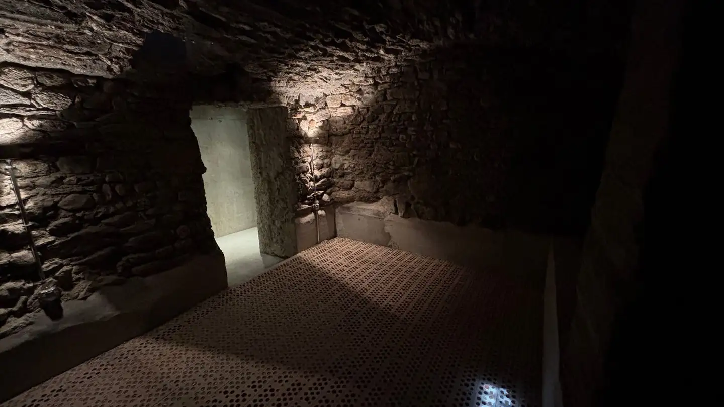 Sala hobby in affitto - 7017 Flims Dorf - Photo 3