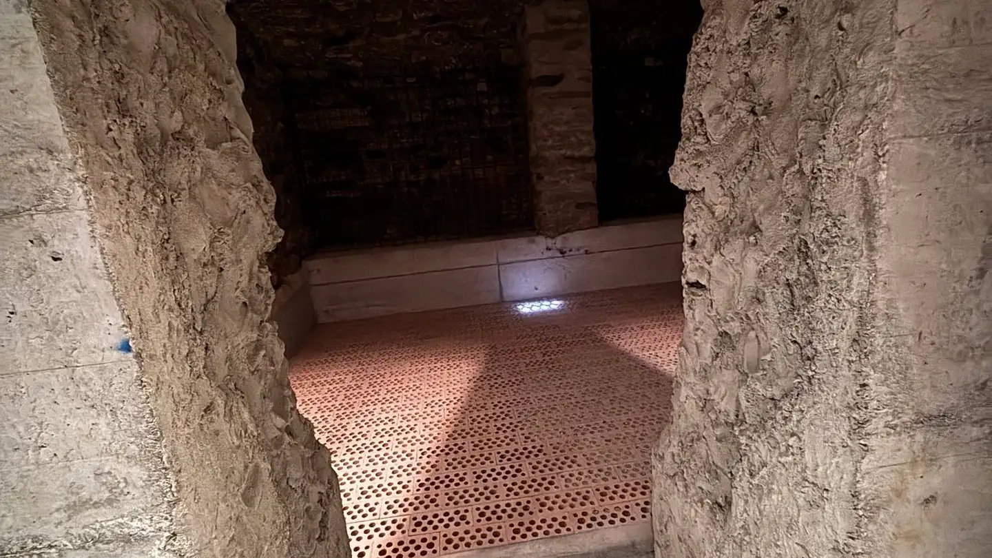 Sala hobby in affitto - 7017 Flims Dorf - Photo 4