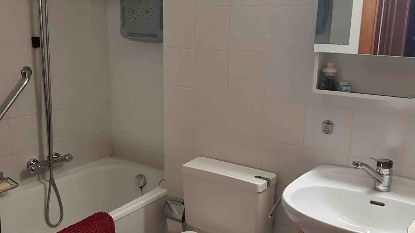 Appartamento in affitto - Chemin De La Distillerie 12, 1233 Bernex - Foto 4