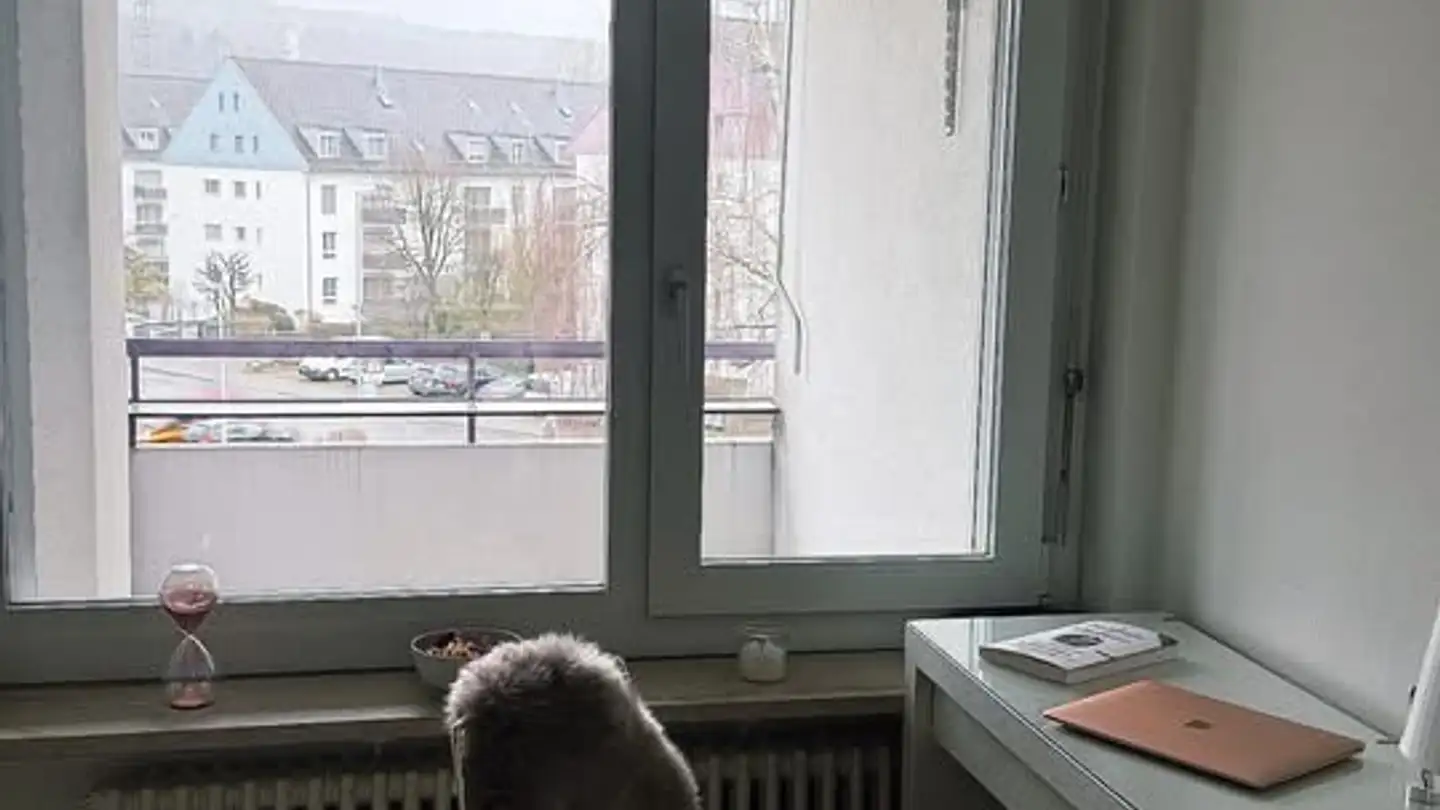 Appartement à louer - 8600 Dübendorf - Photo 3