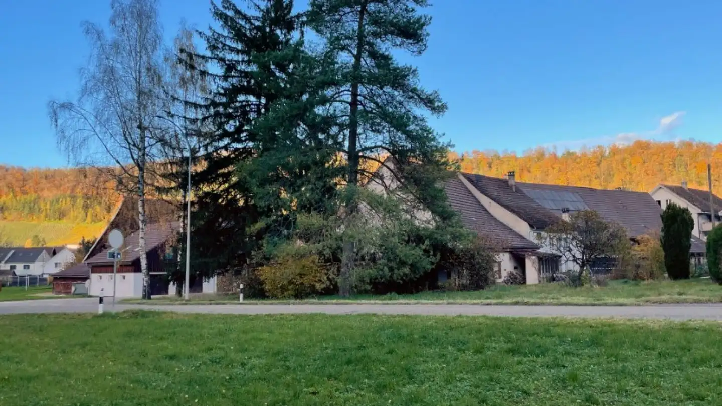 Bauland kaufen - Bahnhofstrasse, 5078 Effingen - Foto 3