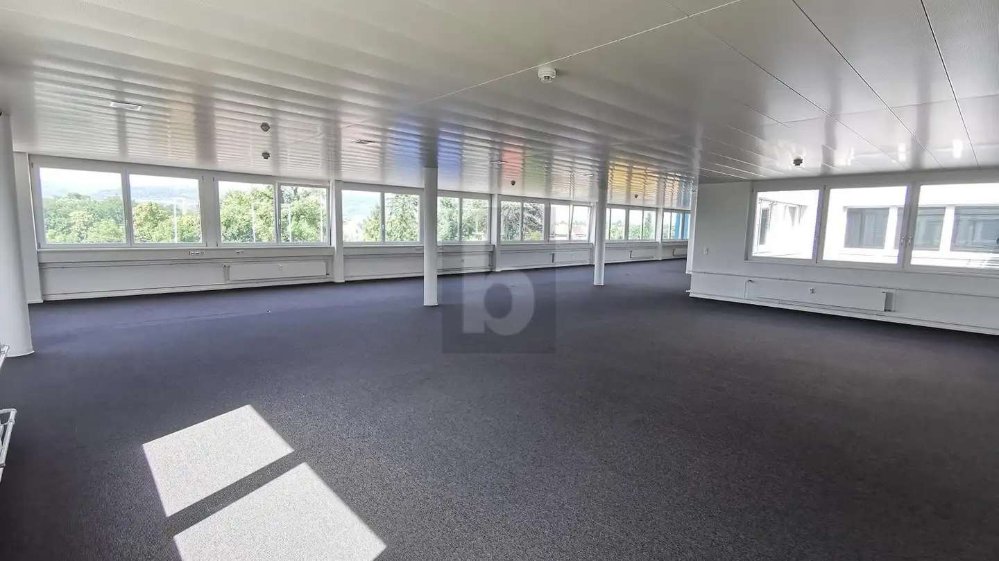 Office space for rent - 4133 Pratteln