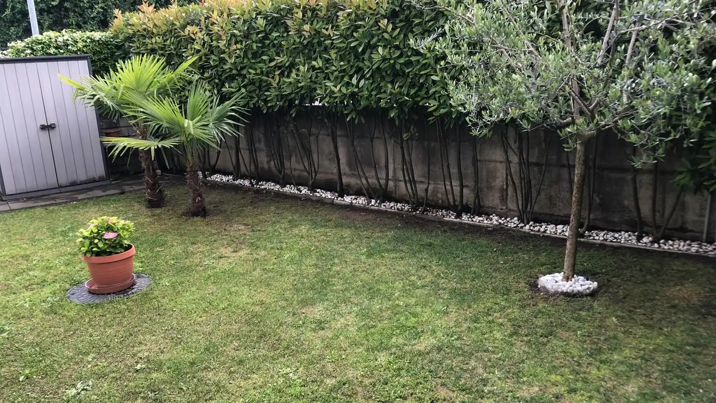 Appartamento in affitto - Via Rime, 6850 Mendrisio