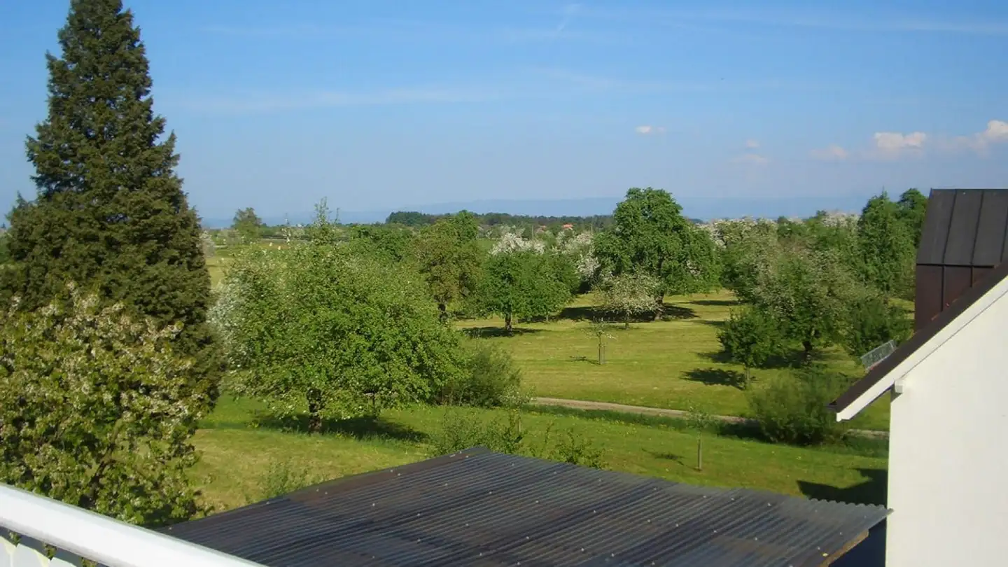Apartment for rent - Bachstrasse 4, 9313 Muolen - Photo 4