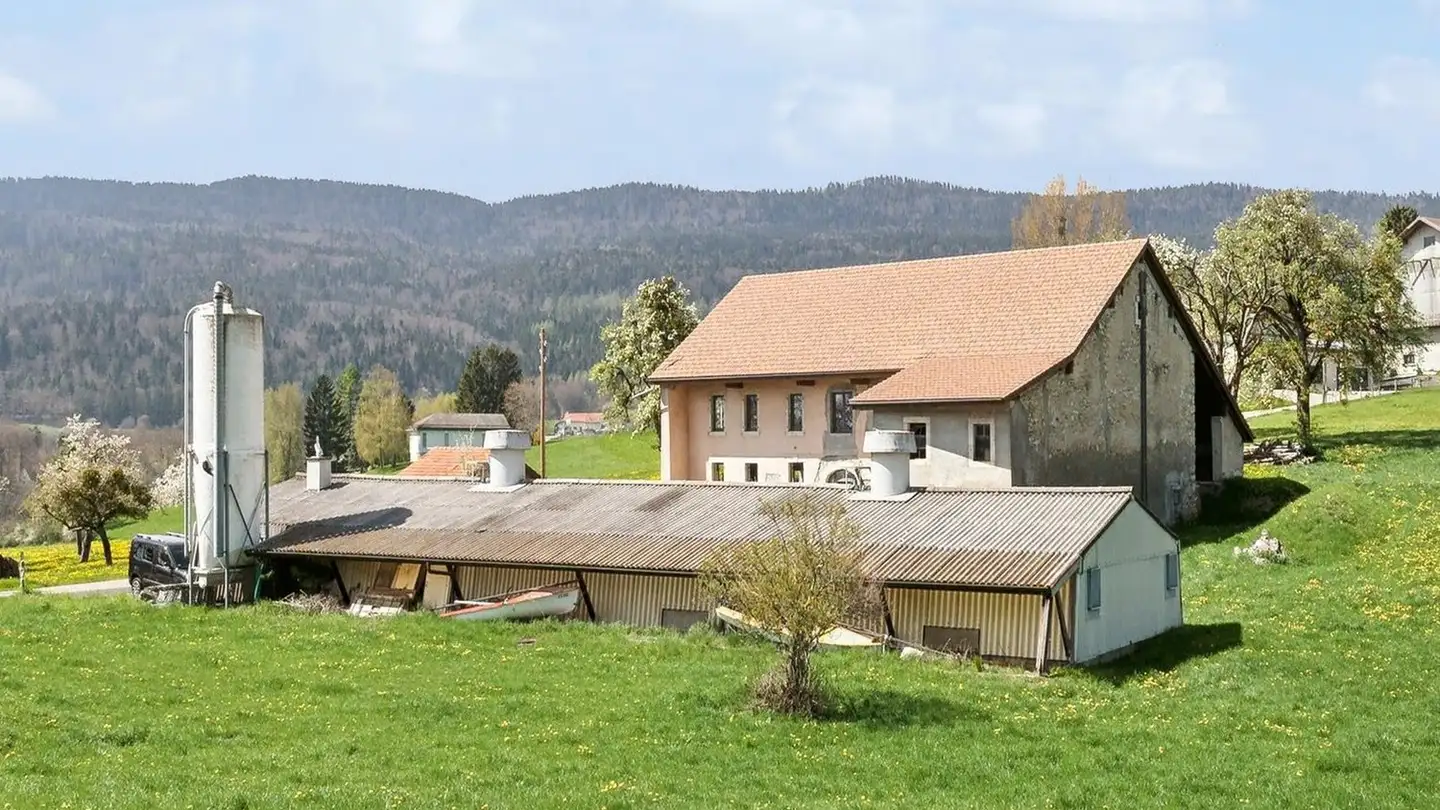 Farm for sale - 1261 Longirod - Photo 2