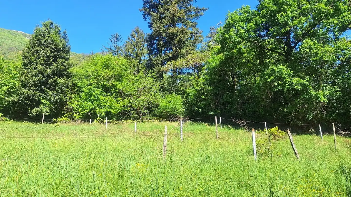 Terrain constructible à vendre - 6900 Lugano - Photo 4