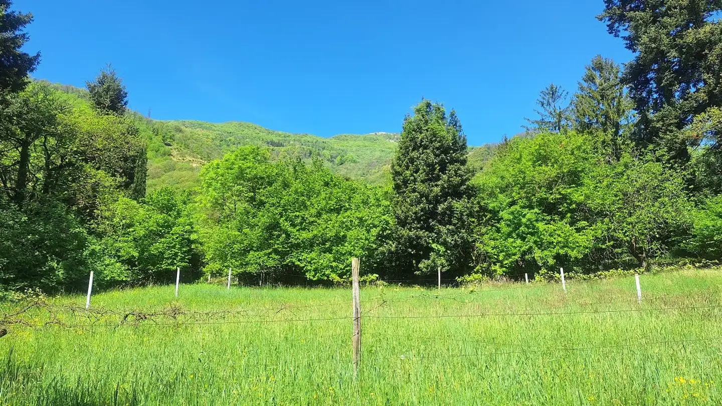 Terrain constructible à vendre - 6900 Lugano - Photo 3