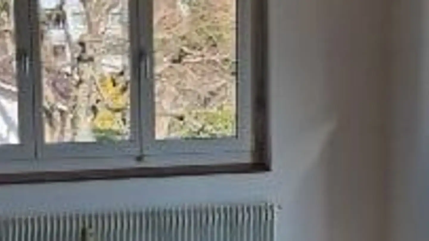 Wohnung mieten - Drosselweg 1a, 3604 Thun - Foto 4