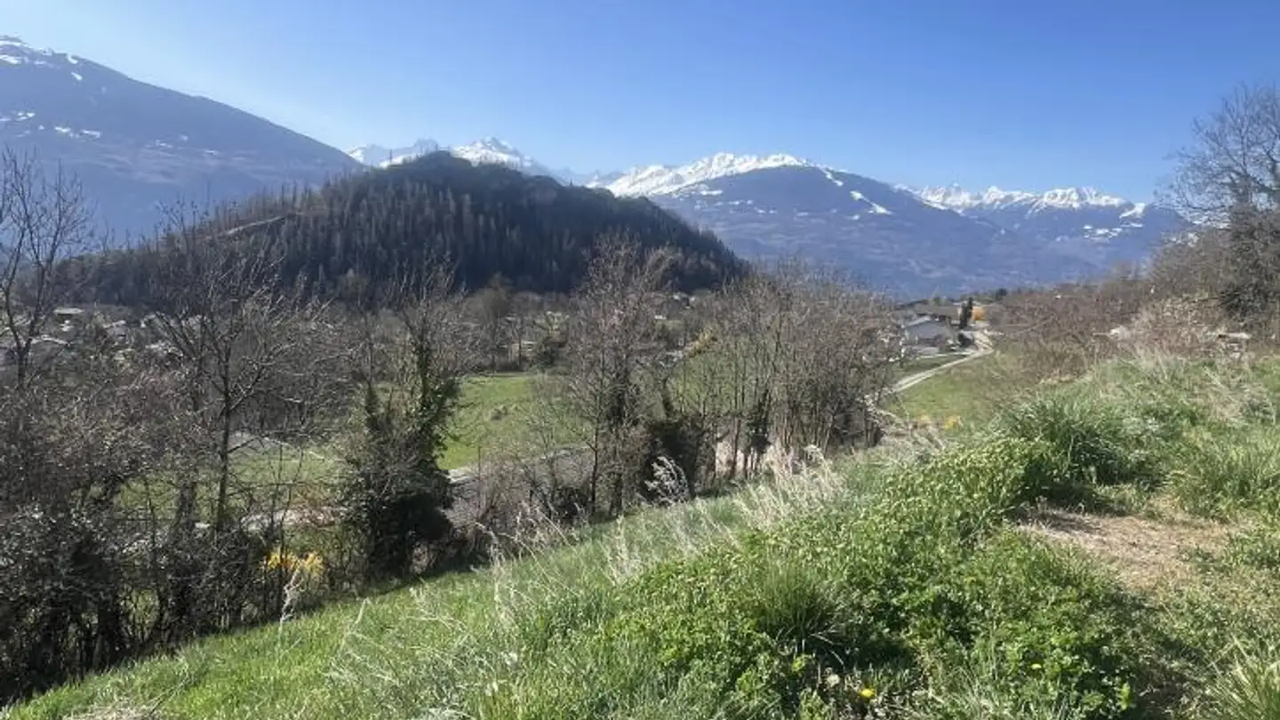 Constructible plot for sale - 1966 Botyre (Ayent)