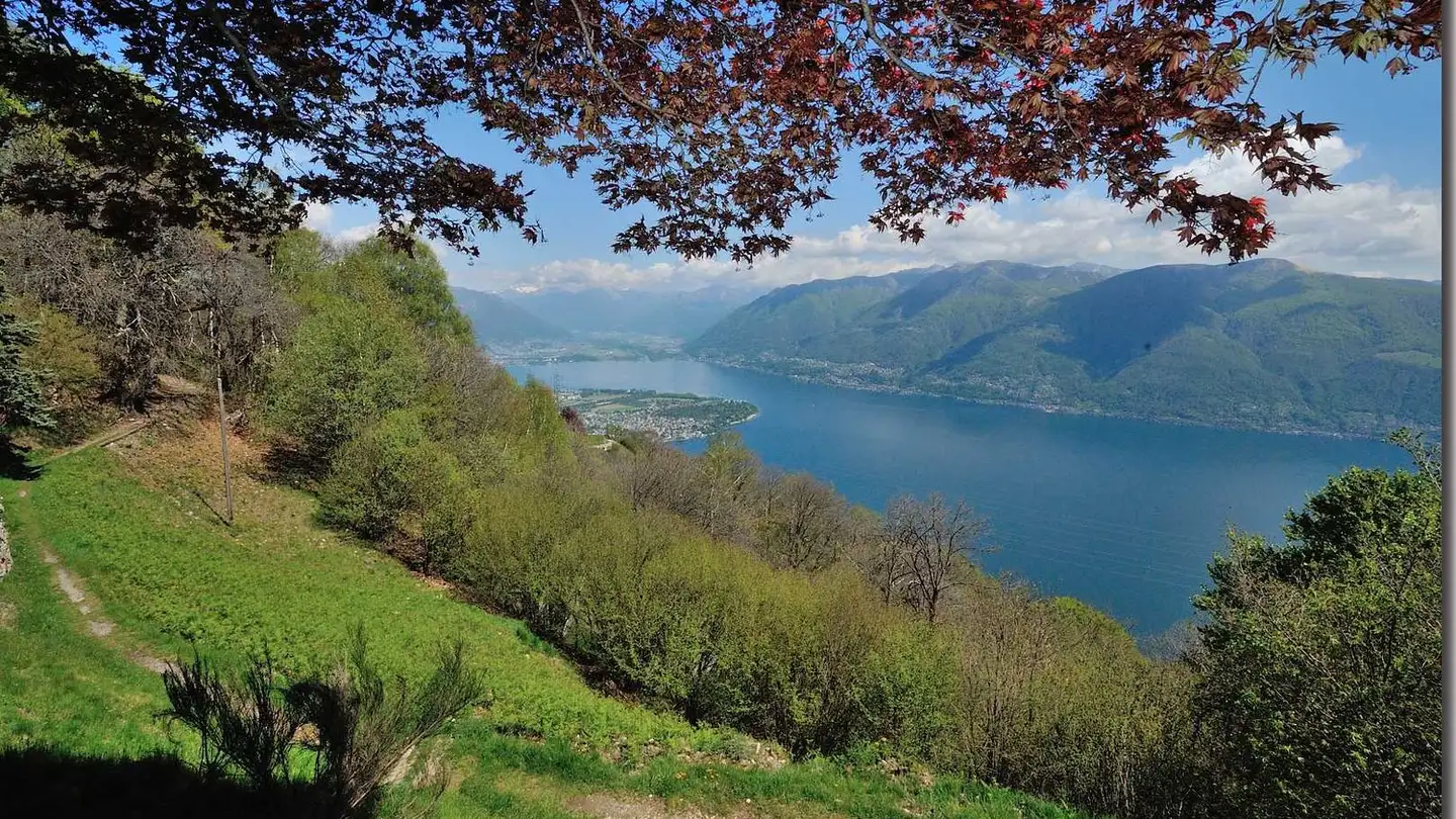 Casa singola in vendita - Via Ronco, 6613 Porto Ronco - Photo 3