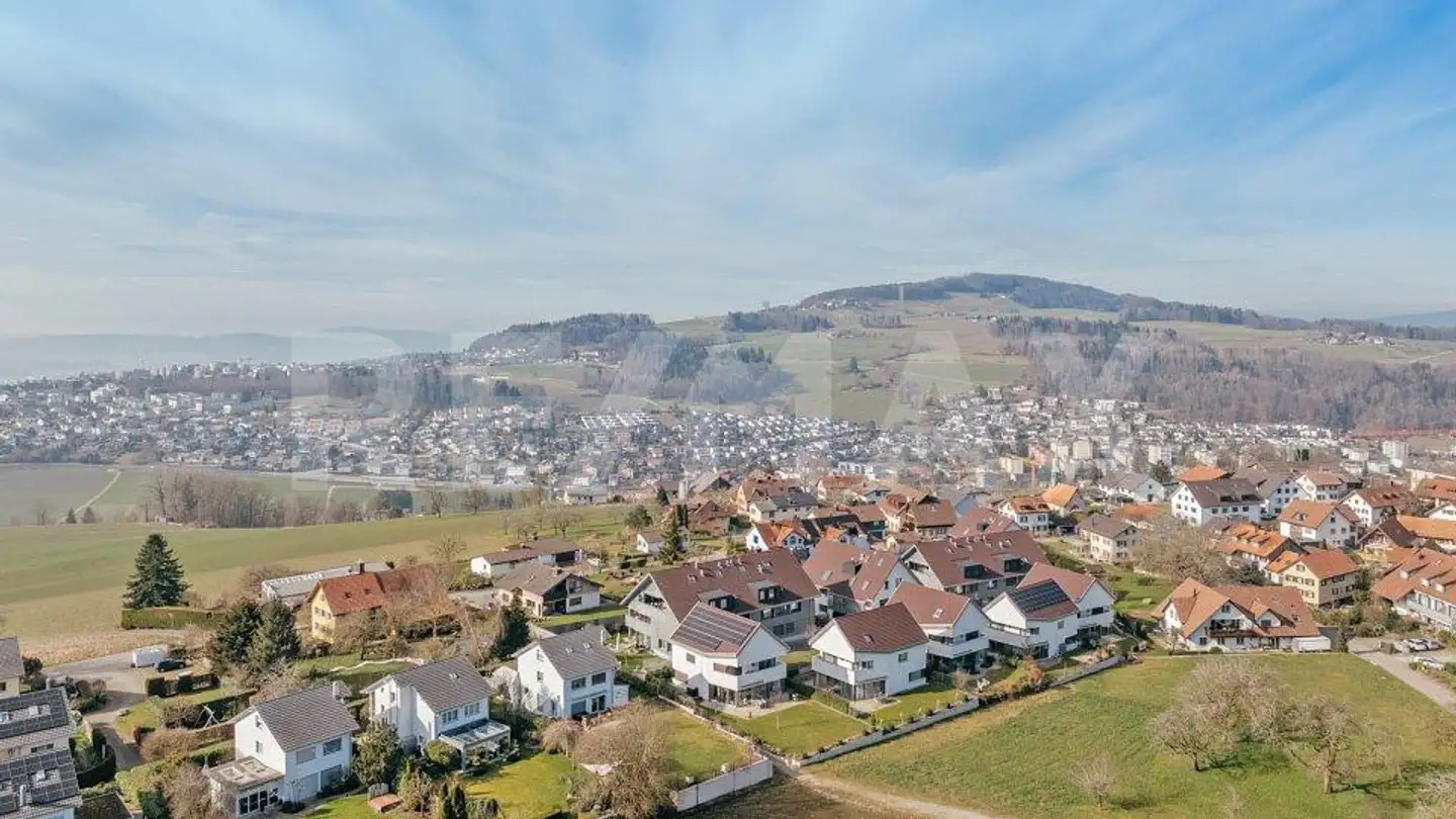 Attique à vendre - Friedlisbergstrasse 235d, 8964 Rudolfstetten - Photo 3