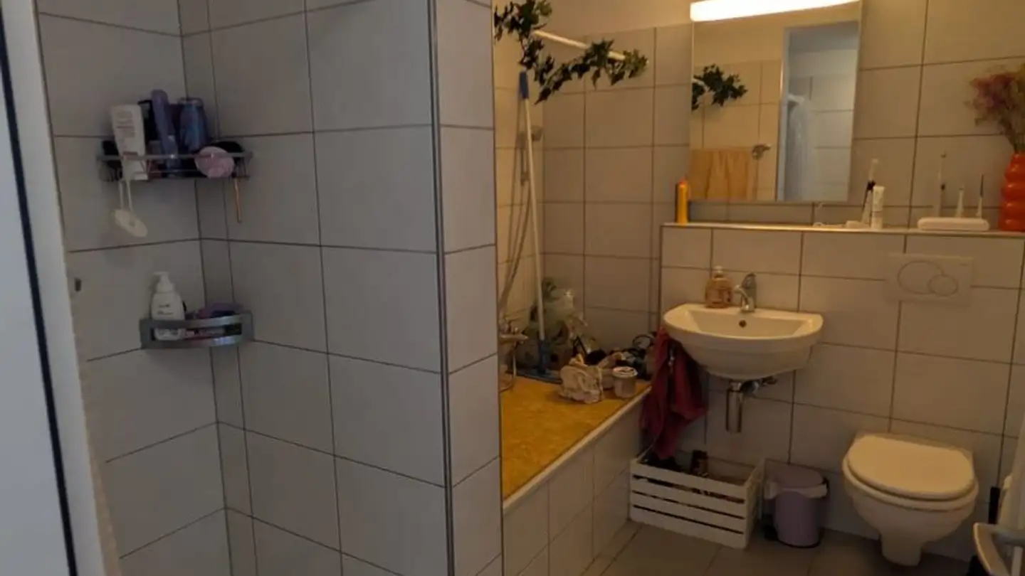 Chambre à louer - 8640 Rapperswil SG