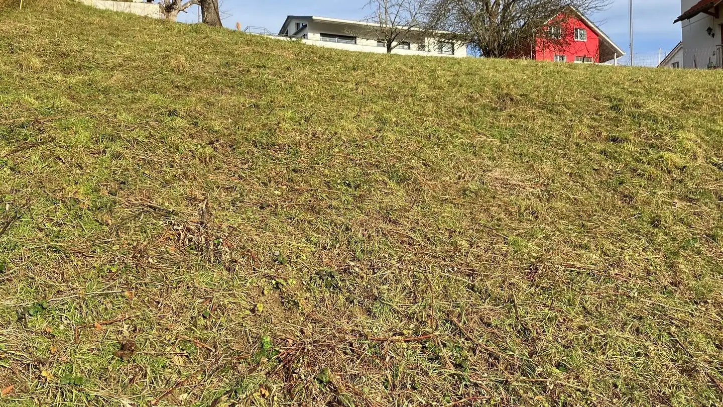 Terrain constructible à vendre - 4432 Lampenberg