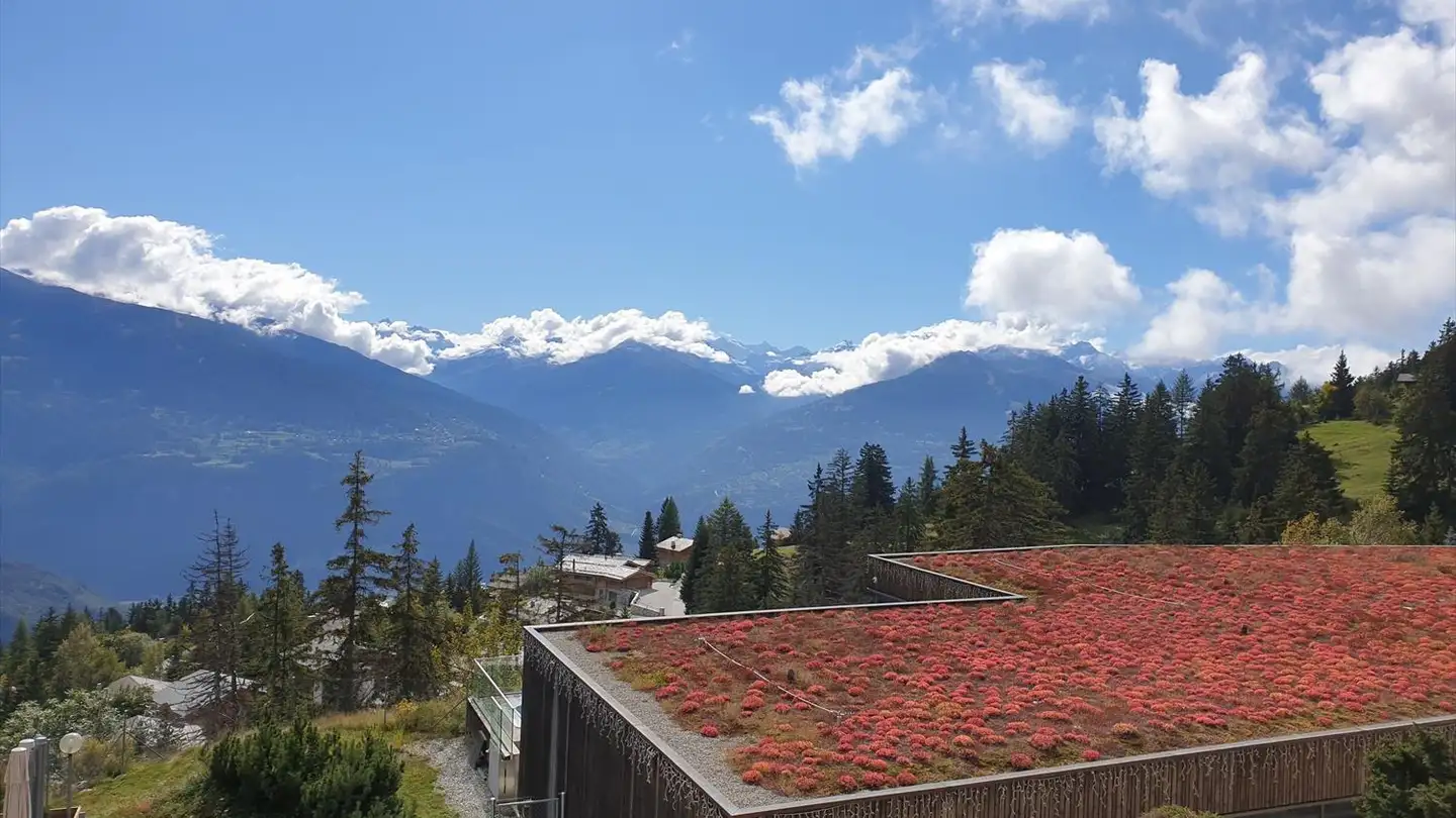 Wohnung mieten - Route D'anzère, 1972 Anzère