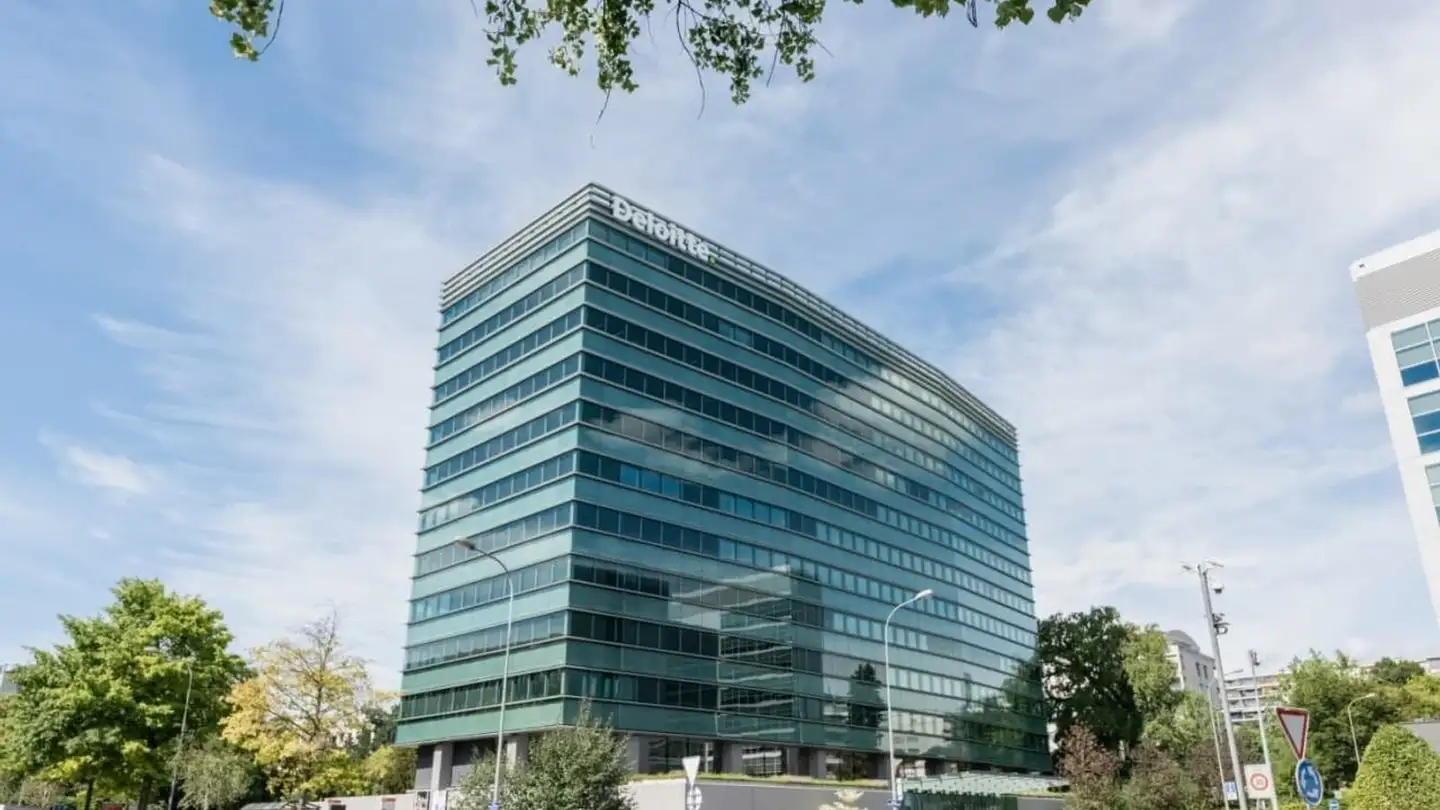 Commercial for rent - Rue Du Pré-De-La-Bichette, 1202 Genève - Photo 3