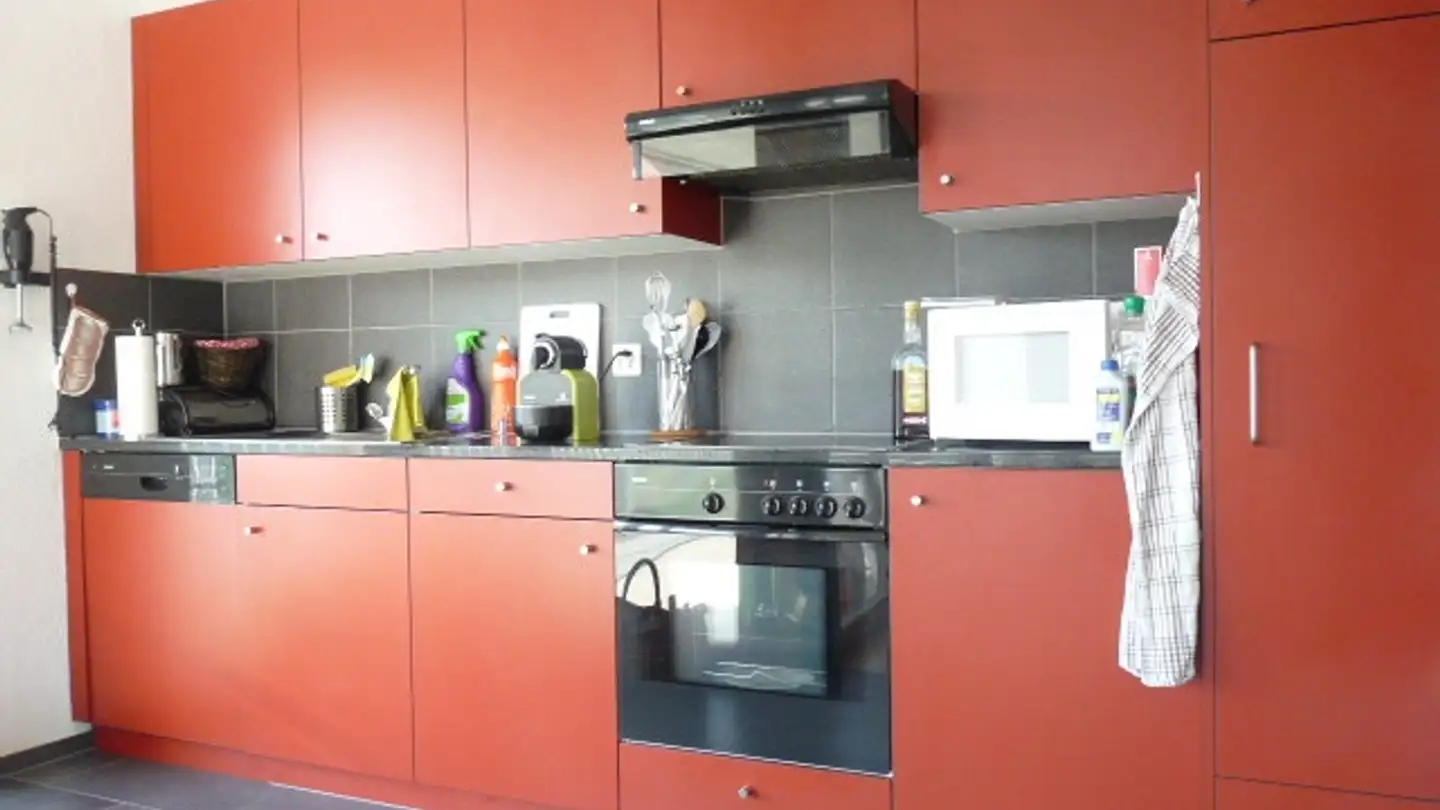 Loft à louer - Buchenstrasse 3, 9444 Diepoldsau - Photo 3