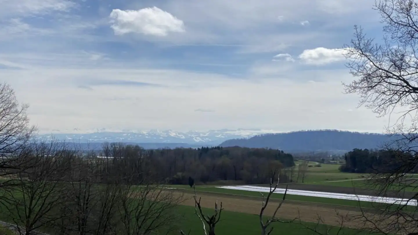 Stepped apartment for sale - Tschuggstrasse 22, 3236 Gampelen - Photo 4