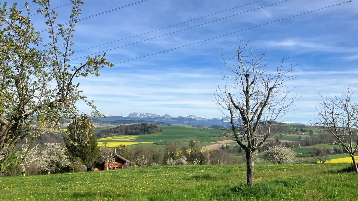 Chambre à louer - Route Du Bas Du Village 6, 1513 Rossenges - Photo 4