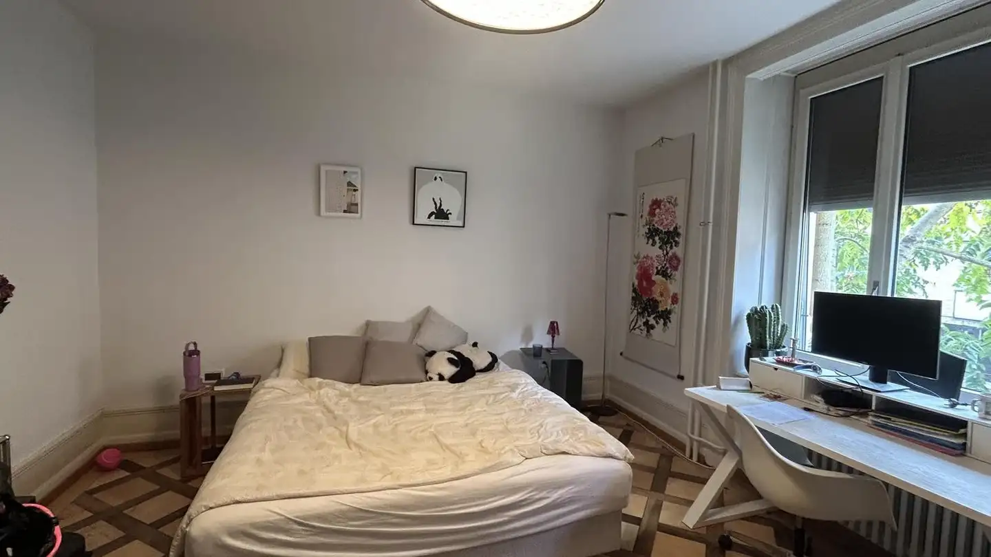 Möblierte Wohnung mieten - Sandstrasse 7, 8003 Zürich - Foto 4