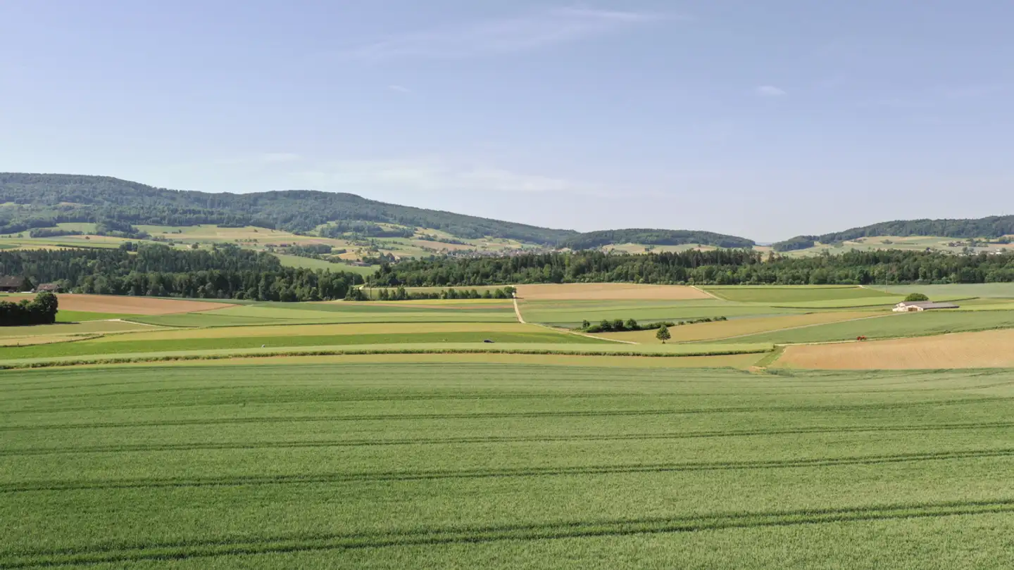 Constructible plot for sale - 5425 Schneisingen
