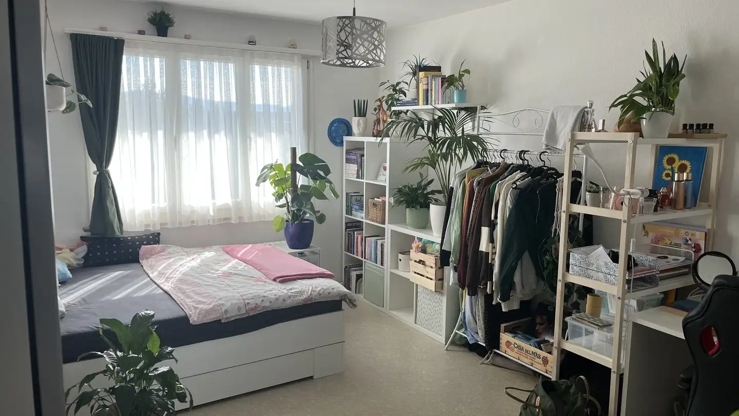 Appartamento in affitto - Walderstrasse 89, 8630 Rüti ZH - Foto 2