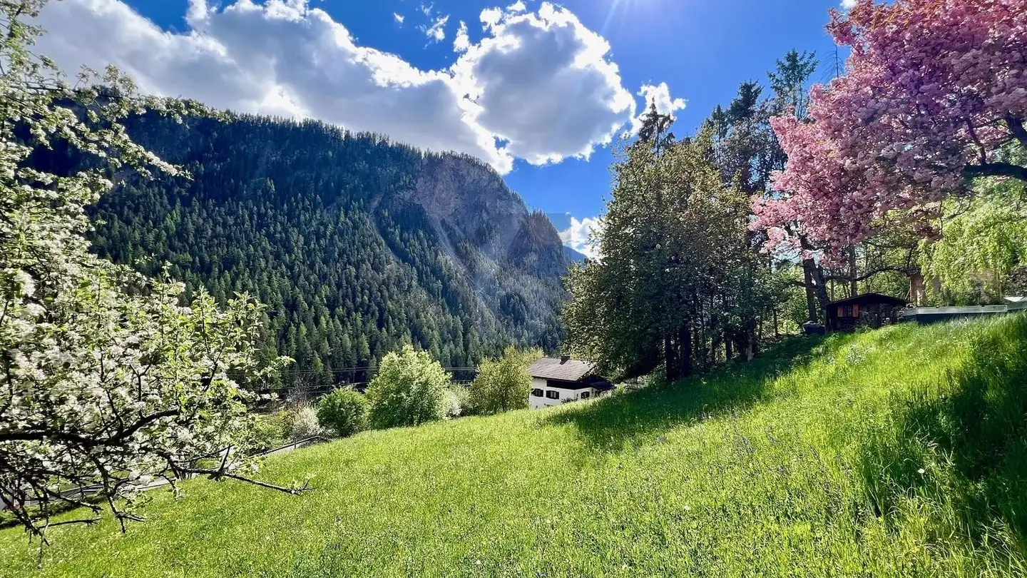 Terreno edificabile in vendita - 7477 Filisur