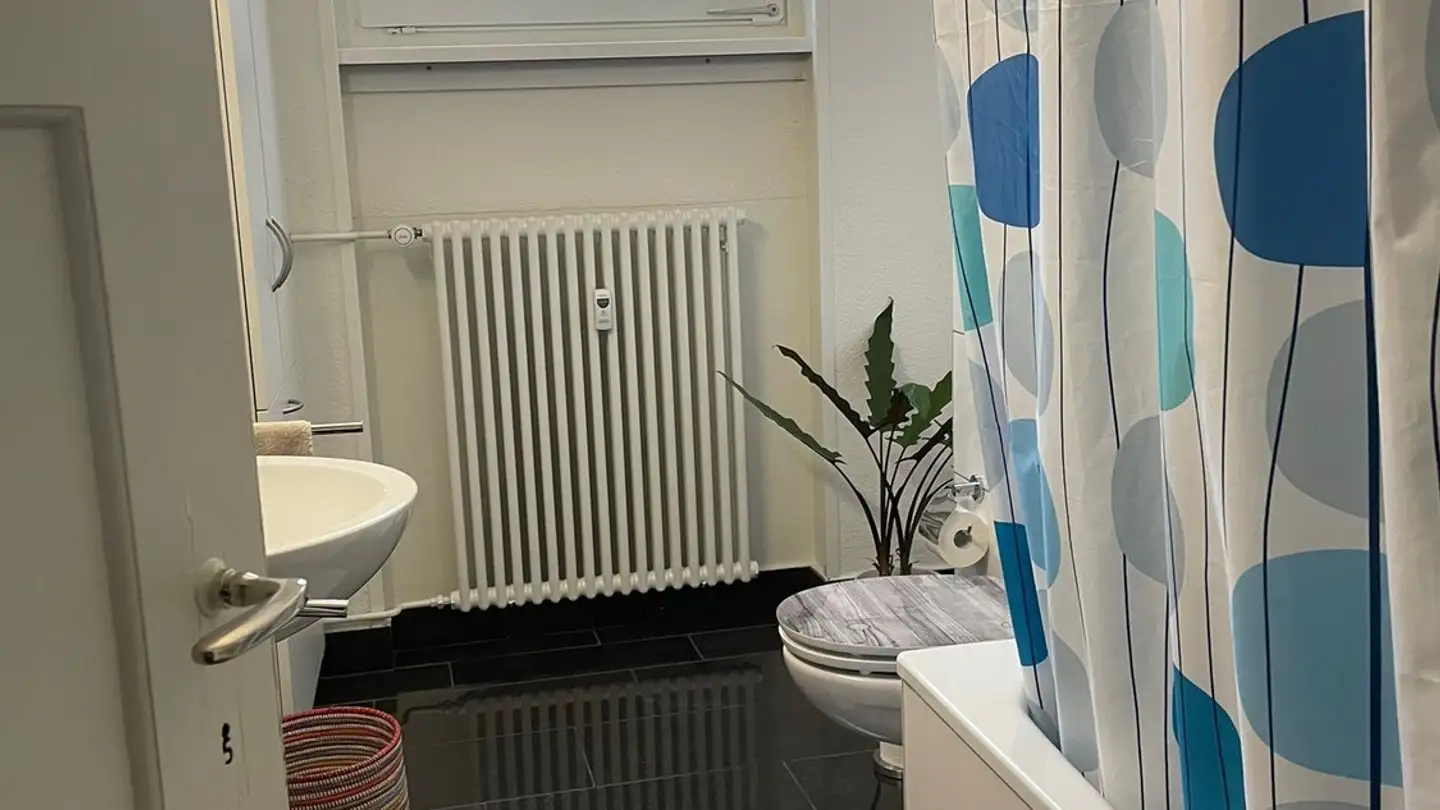 Appartamento in affitto - Reiterstrasse 53, 4054 Basel - Foto 4