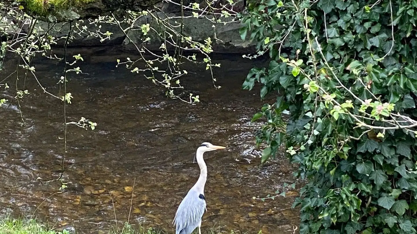 Appartamento in affitto - Sigmundstrasse 4, 4410 Liestal - Photo 2